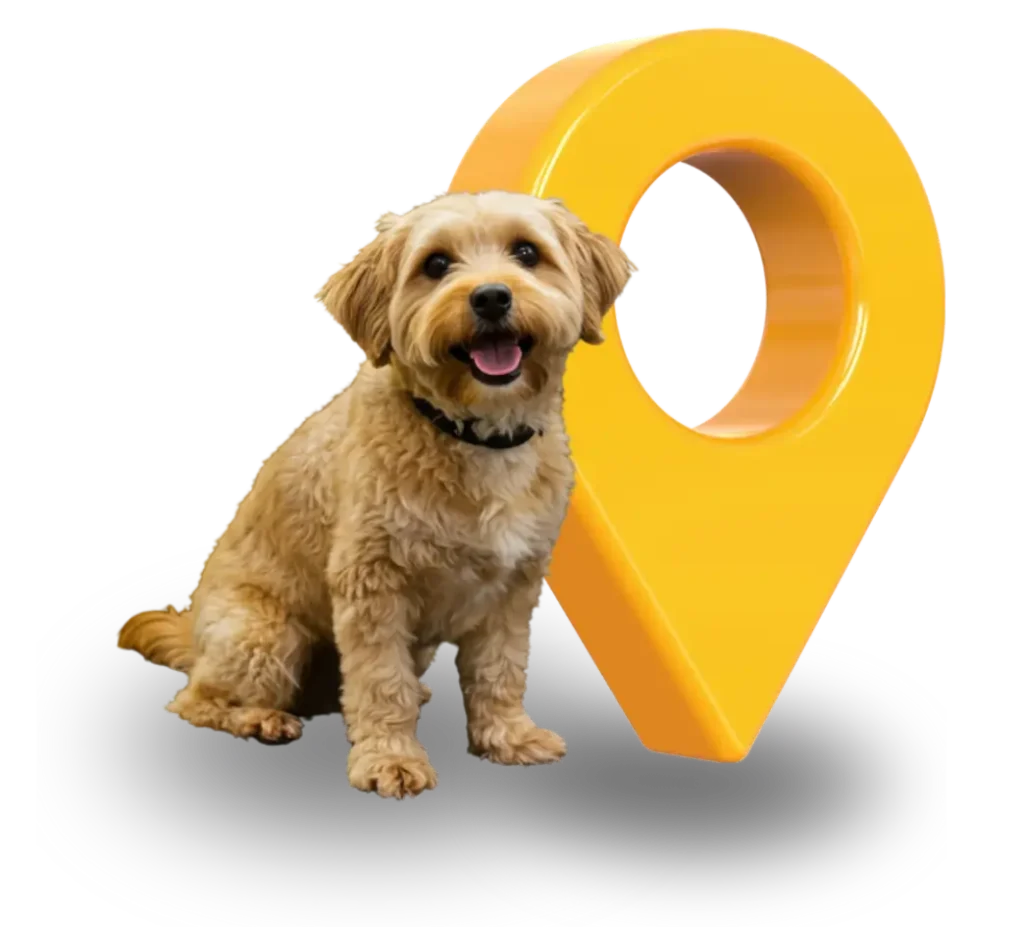 Localização da Unidade mais próxima da Perto Pet